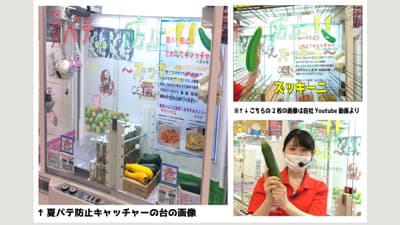 地元農家が育てた旬の夏野菜を景品に　クレーンゲームが人気　東洋