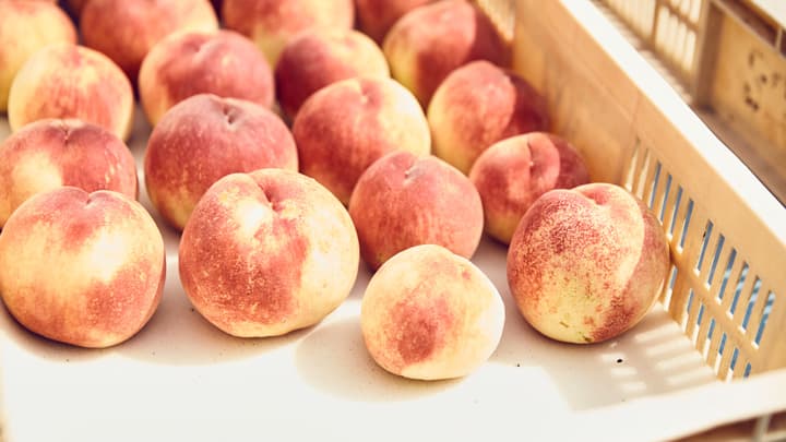 都心で極完熟の果物を届ける「F STANDプロジェクト」スタート