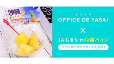 東日本の150社で「沖縄県産パイン」サンプリング実施　ＪＡおきなわ