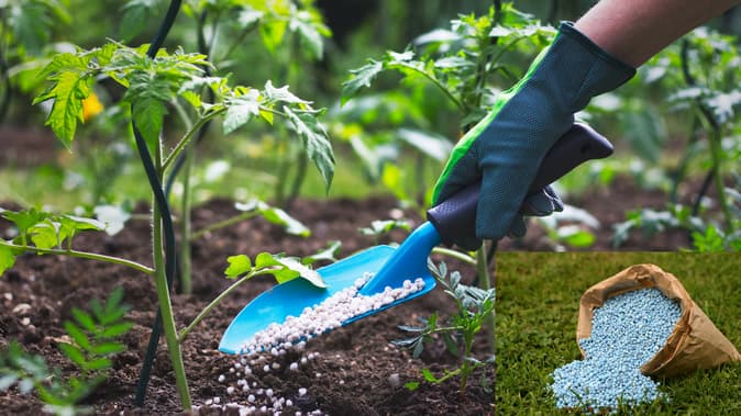 複合肥料の市場規模　2026年までに548億ドル到達見込み