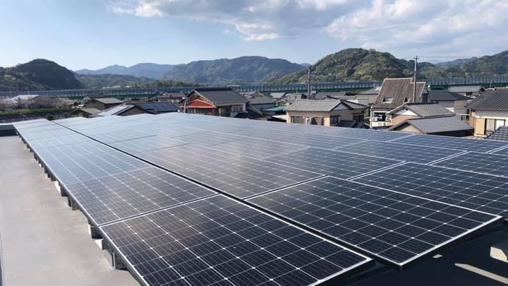 再エネ電力に切替提案　林業ベンチャーが「エネキコリ」商標登録　ソマウッド