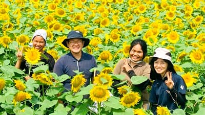 緑肥になる無施肥無農薬ひまわりで「食×花」イベント開催　ハイファイブ