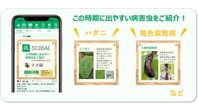 家庭庭菜園支援アプリ「SCIBAI」サービス提供開始　ミライ菜園