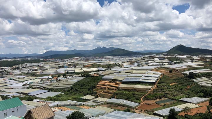 ベトナムの農業分野に特化　現地の生情報を提供開始　レイシャン