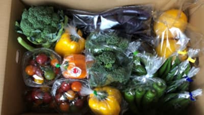 北海道のローカル野菜盛りだくさん「野菜ボックス」販売開始 　えが八