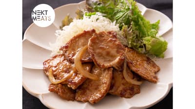 豚肉タイプの代替肉「NEXTポーク」を商品化　ネクストミーツ