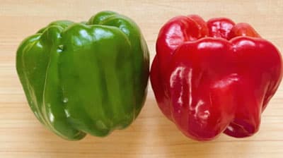 長野県中野市×セブンイレブン「ぼたんこしょう」使用の新商品　期間限定で発売