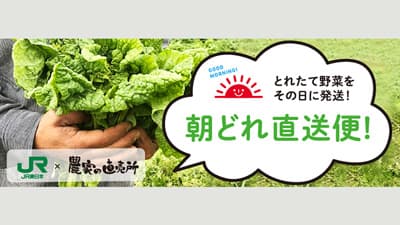 農産物を収穫日に発送「朝どれ直送便！」開始　JR東日本×農業総合研究所