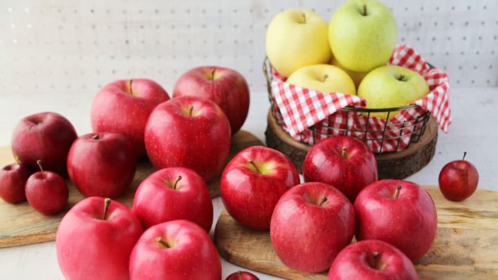 「青森りんごがもっと食べたくなる講座」オンライン開催　青森県りんご対策協議会