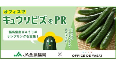 東日本の600社で「福島県産きゅうり」冷蔵サンプリング実施　ＪＡ全農福島