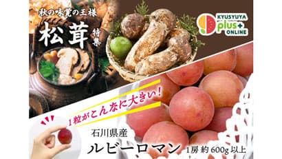 秋の味覚「国産松茸」と「ルビーロマン」を販売中　九州屋plus+