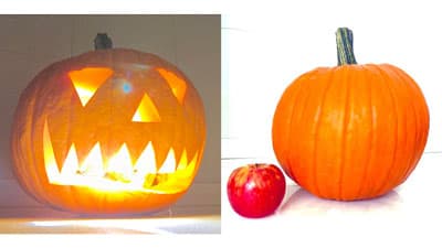 コロナ禍のおうち時間に「ハロウィンかぼちゃ」予約注文実施　北海道旬直