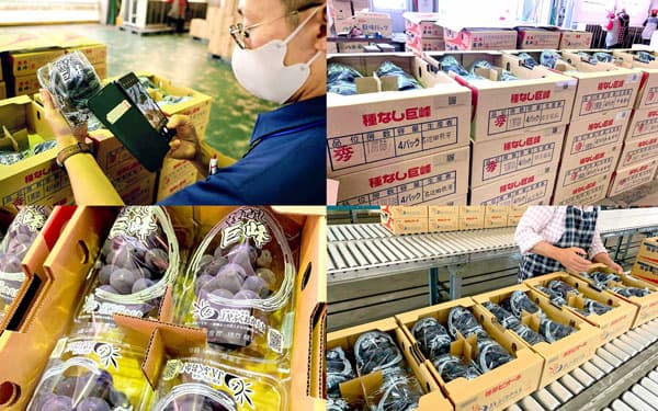 福岡県産ブランド農産物の輸出トレーサビリティ実証に成功　chaintope×九州農産物通商