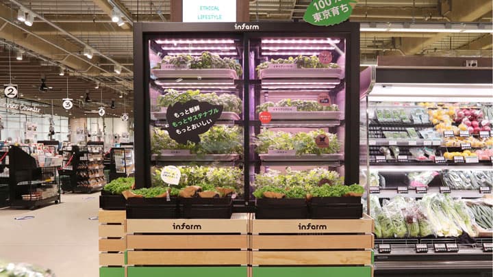 都市型農場野菜「インファーム」サミットストア成城店と野沢龍雲寺店で展開