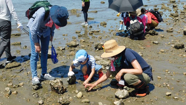 投稿数累計1万件を突破「サステナフェス」開催レポート発表　生活クラブ