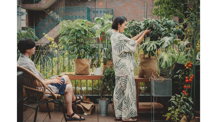 家庭菜園の楽しさ伝える新ブランド「UETE（ウエテ）」開始　タキイ種苗