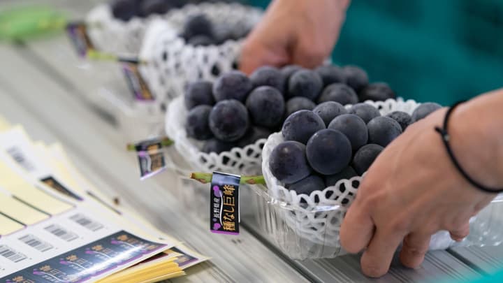 「農家直売どっとこむ」へ出品　長野県の生産者を募集　長野大同青果