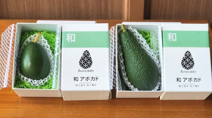 鹿児島県南大隅町「国産アボカド」味わうイベント開催　新宿高野
