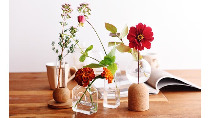 「ハナノヒ」 交換対象切り花の「5日間品質保証」サービス開始　日比谷花壇