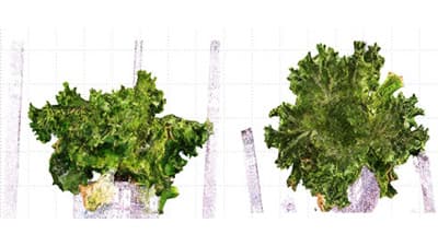 高精度・自動の植物3次元モデリング装置「アグリビジネス創出フェア」に出展　農研機構