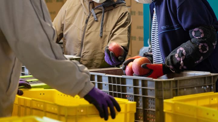 銀座NAGANO「りんごマルシェ」霜被害りんごのPRイベント開催　長野県飯綱町