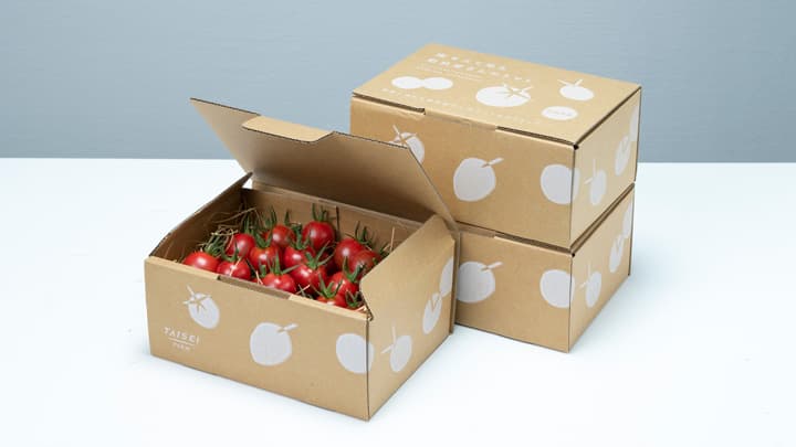 アミノ酸たっぷり！こだわりのミニトマト販売再開　大成農材