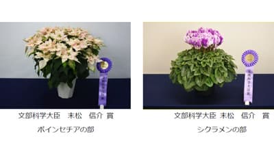 「第21回東京砧花き全国品評会」農林水産大臣賞など決定　東京砧花き園芸市場