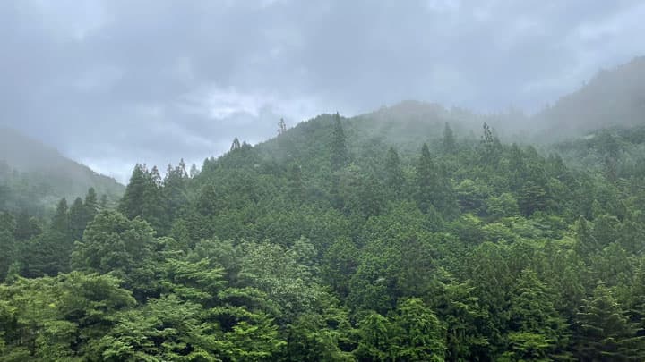 岐阜県白川流域で独自のサプライチェーン「白川LSCシステム」始動