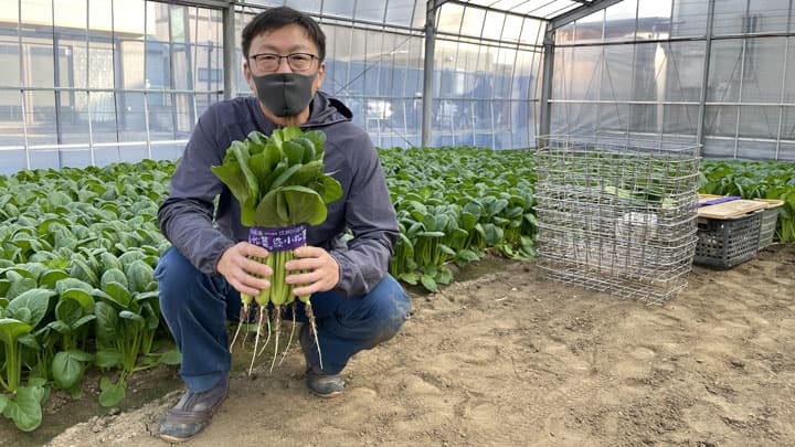 郷土愛を醸成　江戸川区特産「小松菜」の特別給食を小学校に提供　葉隠勇進
