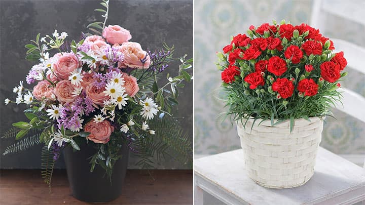 2021年の花き業界　人気色は黄色から赤・ピンクへ変化　第一園芸