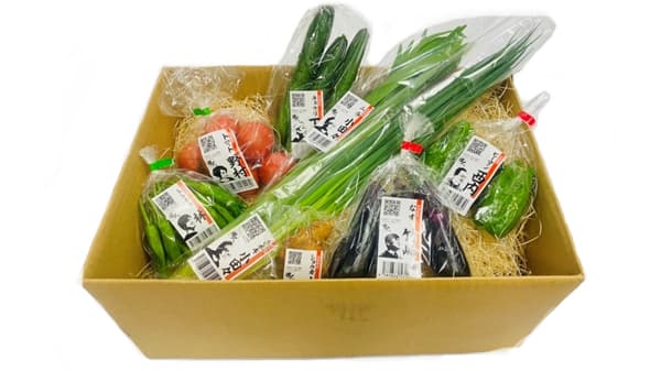 「凄い農家」の野菜セット「職人シリーズ」発売　イオンリテール