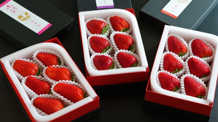 「世界3大美人」に例えた1粒1000円の極上いちご「美しの香」発売　美作農園