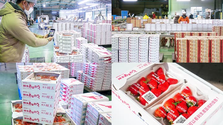 九州農産物通商と「あまおう」の輸出トレーサビリティ実証に成功　Chaintope