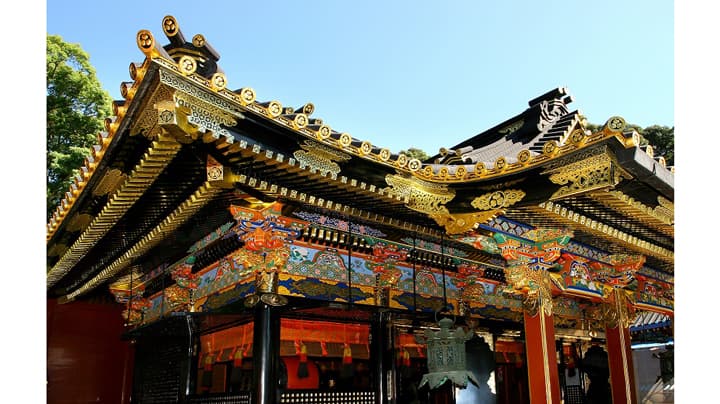 国宝・久能山東照宮の宮司が伝えた「石垣いちご」いちご狩りスタート　静岡市