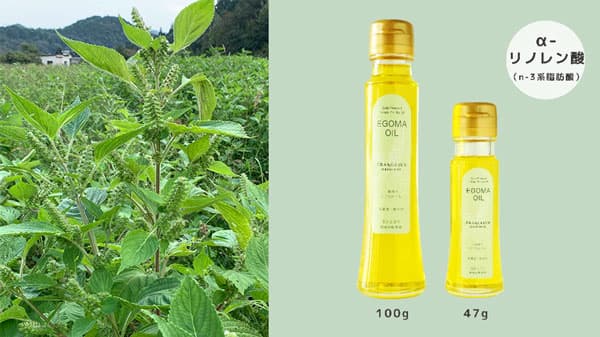 スマート農機活用で"エゴマ"の機械化一貫体系を確立「やまがたエゴマ協議会」設立