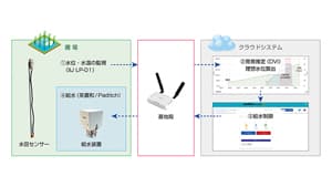 発育指数に基づき水田を水管理　自動化する技術を開発　IIJ
