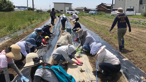 「有機農業」を楽しく学ぶ「有機農業スクール」愛知・京都など5か所で開講　ベジモ