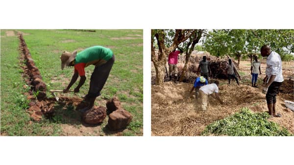 農家から農家へ伝わる土壌保全技術　西アフリカで普及実態を解明　国際農研