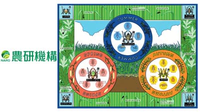 地上と地下の生態系をつなぐ「コア生物種」DNAメタバーコーディングで食物網の季節動態を解明