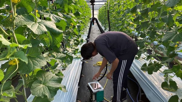 植物栽培の生理生態情報定量的を可視化　高知大学IoP共創センターと共同研究開始　welzo
