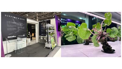 第13回農業WEEK「わさび栽培モジュール」展示「真妻わさび」をどこでも栽培　ネクステージ