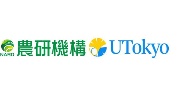 地上部生長から育種ほ場のテンサイ糖収量を予測　農研機構×東京大学