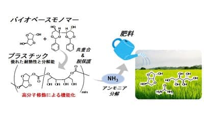 肥料に変換できるプラスチック　機能化に成功　千葉大学など研究チーム