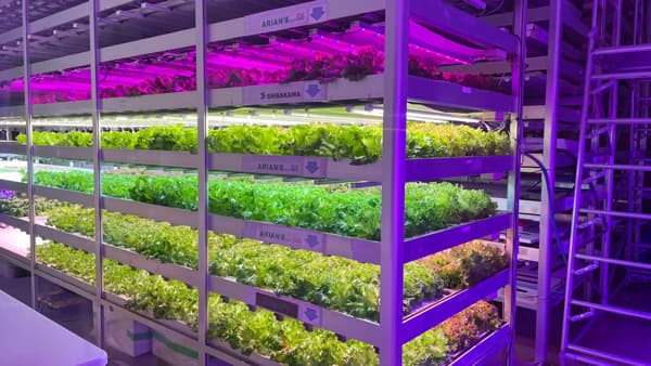 シンガポールのアグリテック企業「アリアンテック」千葉大学内に事業拠点開設