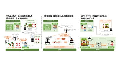ローカル5Gを活用　農産物の生産・収穫工程の省人化へ実証事業　NTT東日本