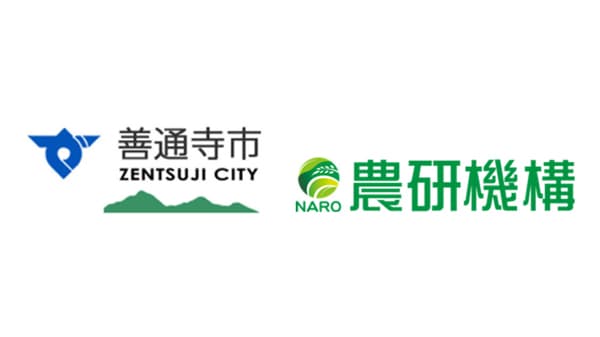 香川県善通寺市と開発　はだか麦の新品種「善通寺2024」出願公表　農研機構