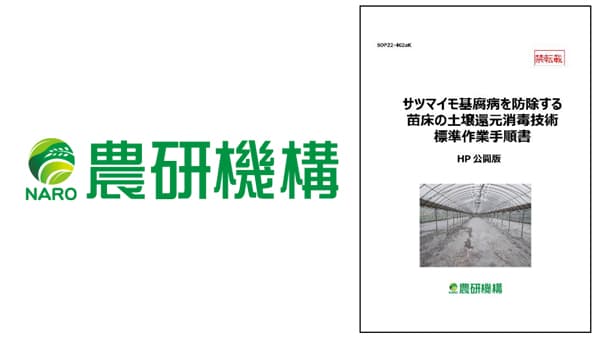 「サツマイモ基腐病を防除する苗床の土壌還元消毒SOP」第2版を公開　農研機構