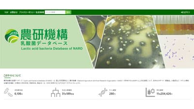 農研機構「乳酸菌データベース」を公開　利用者と乳酸菌のマッチングで発酵産業を支援