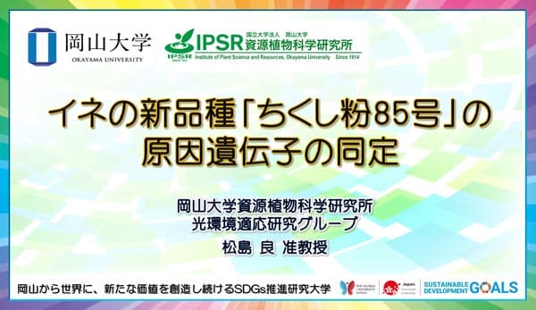 イネの新品種「ちくし粉85号」の原因遺伝子を同定　岡山大学