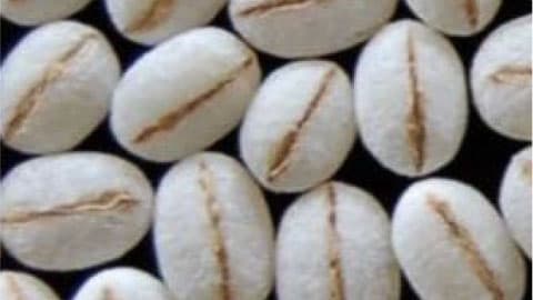 食物繊維が豊富なもち麦2種の品種登録　成果を紹介　生研支援センター